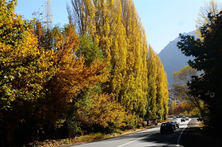 تصاویر / جاده زیبای کرج چالوس در فصل پاییز